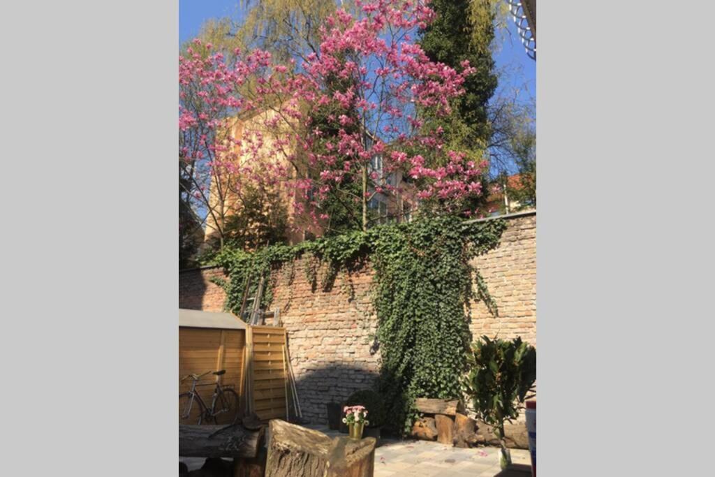 Beautiful Backyard Remise Appartamento